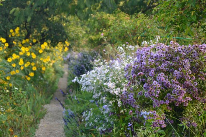 Peinture impressionniste de jardin Monet Nymphéas avec reflets et couleurs vives